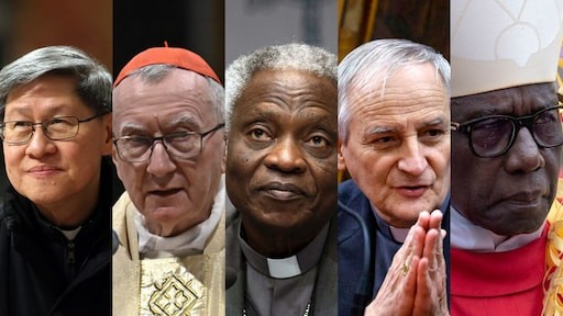 Mogelijke opvolgers paus Franciscus
